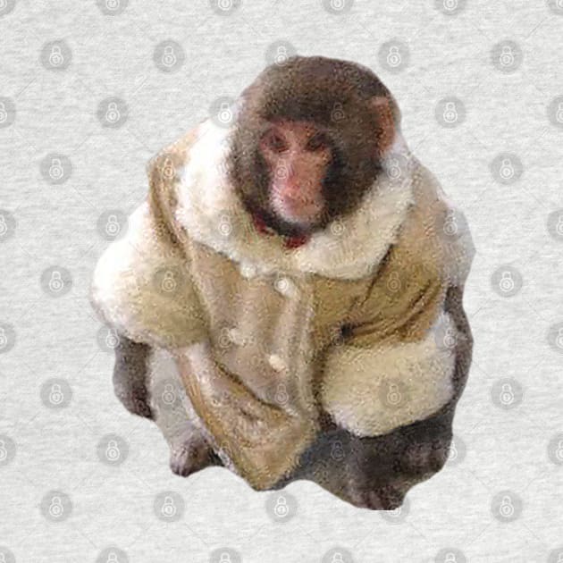 Stylish Yet Illegal Monkey Found Roaming Ikea Meme Sticker by aterkaderk